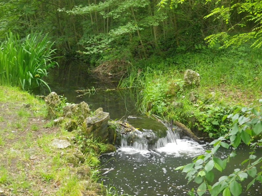 Image 21 : Le ruisseau de Gravelle